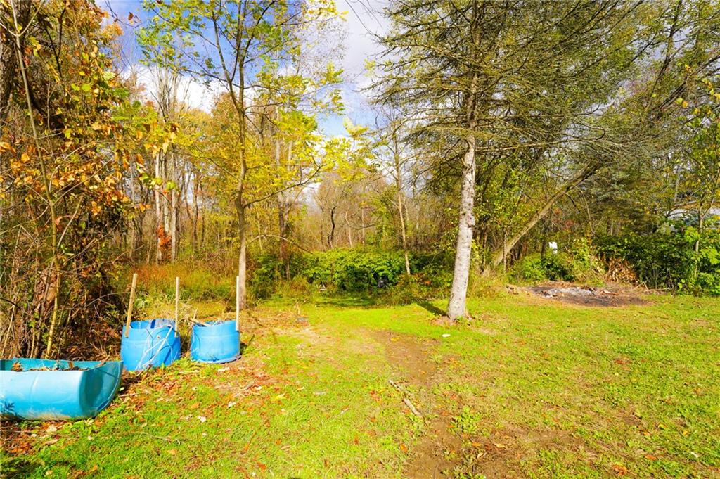 204 Hollowvue Road Wampum, PA 16157 - Photo 42 of 46 a view of yard with large trees