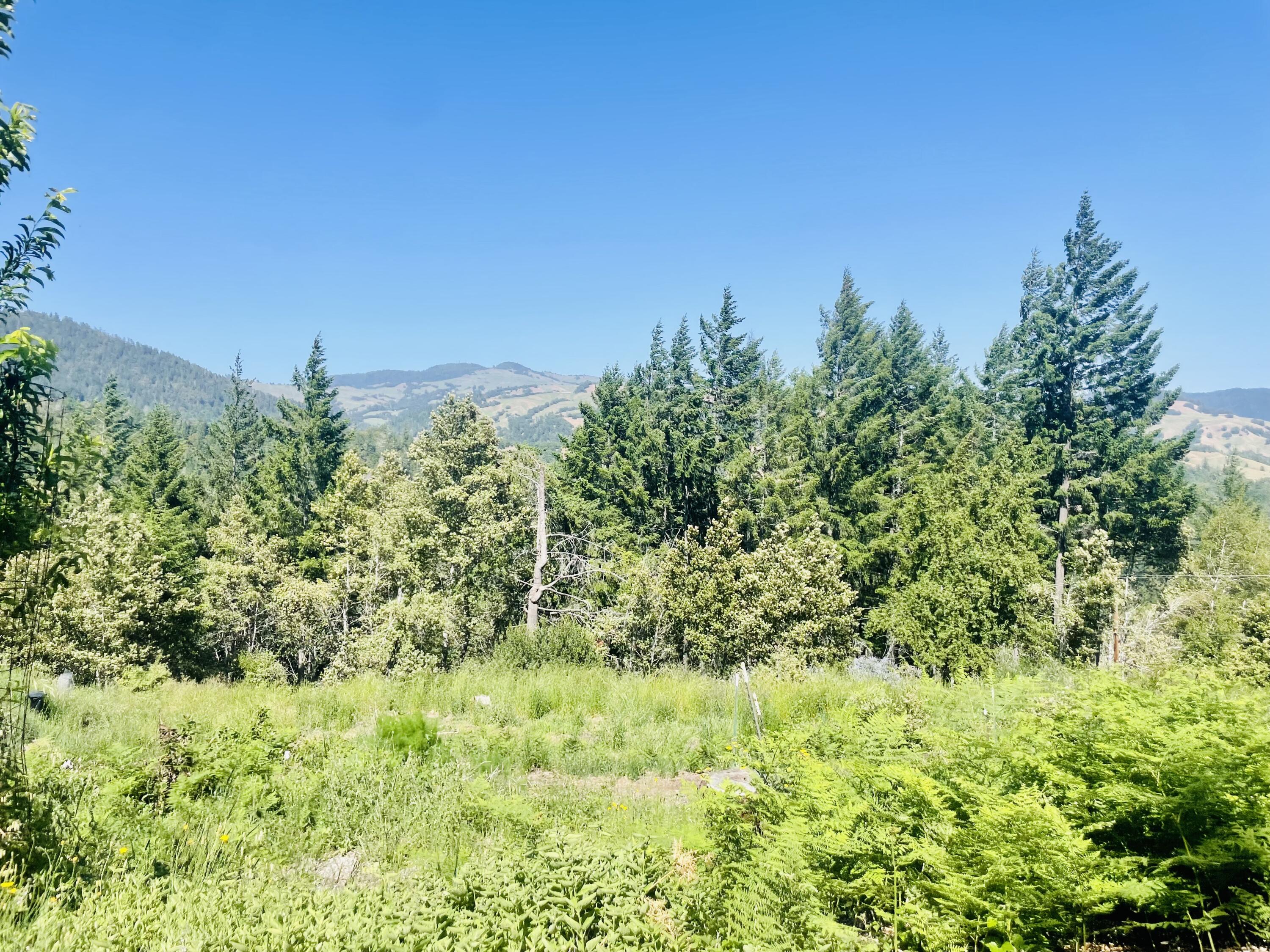 360 Graycliff Road Garberville, CA 95542 - Photo 45 of 63