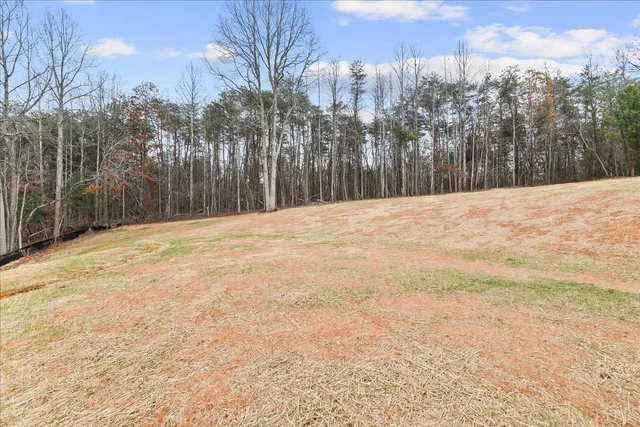 $899,000 | 1100 Brandy Springs Court, Forest, VA 24551