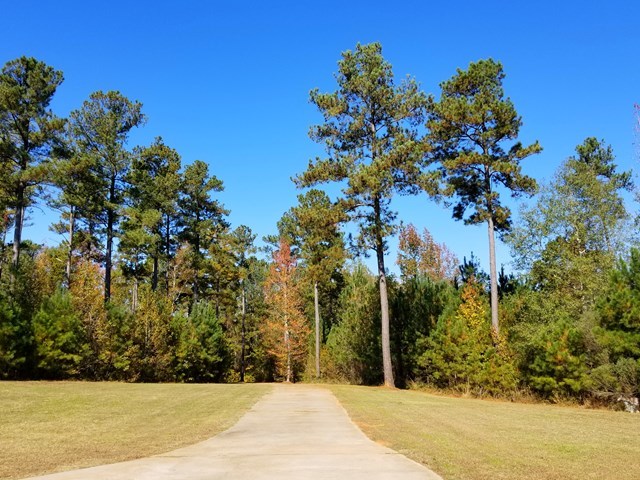 415 Wheeler Road Gray, GA 31032 - Photo 24 of 25
