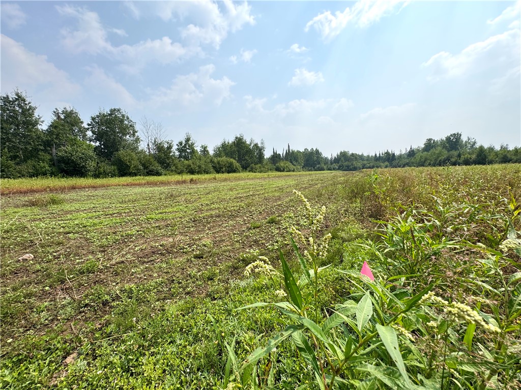 N8105 Swamp Road Road Tomahawk, WI 54487 - Photo 22 of 25