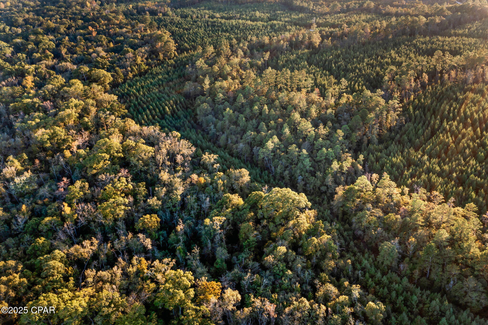 1503 Open Creek Road, Unit NORTH LOT Bonifay, FL 32425 - Photo 11 of 15