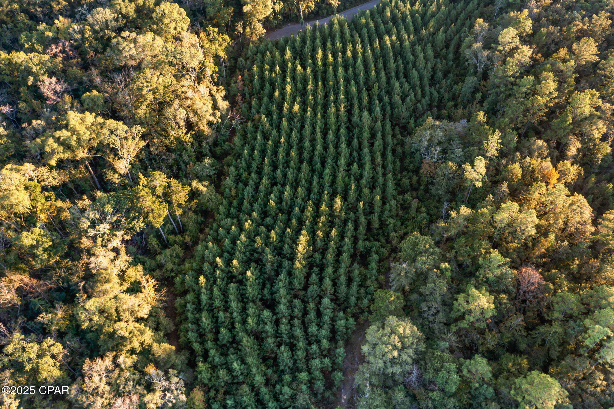 1503 Open Creek Road, Unit NORTH LOT Bonifay, FL 32425 - Photo 12 of 15