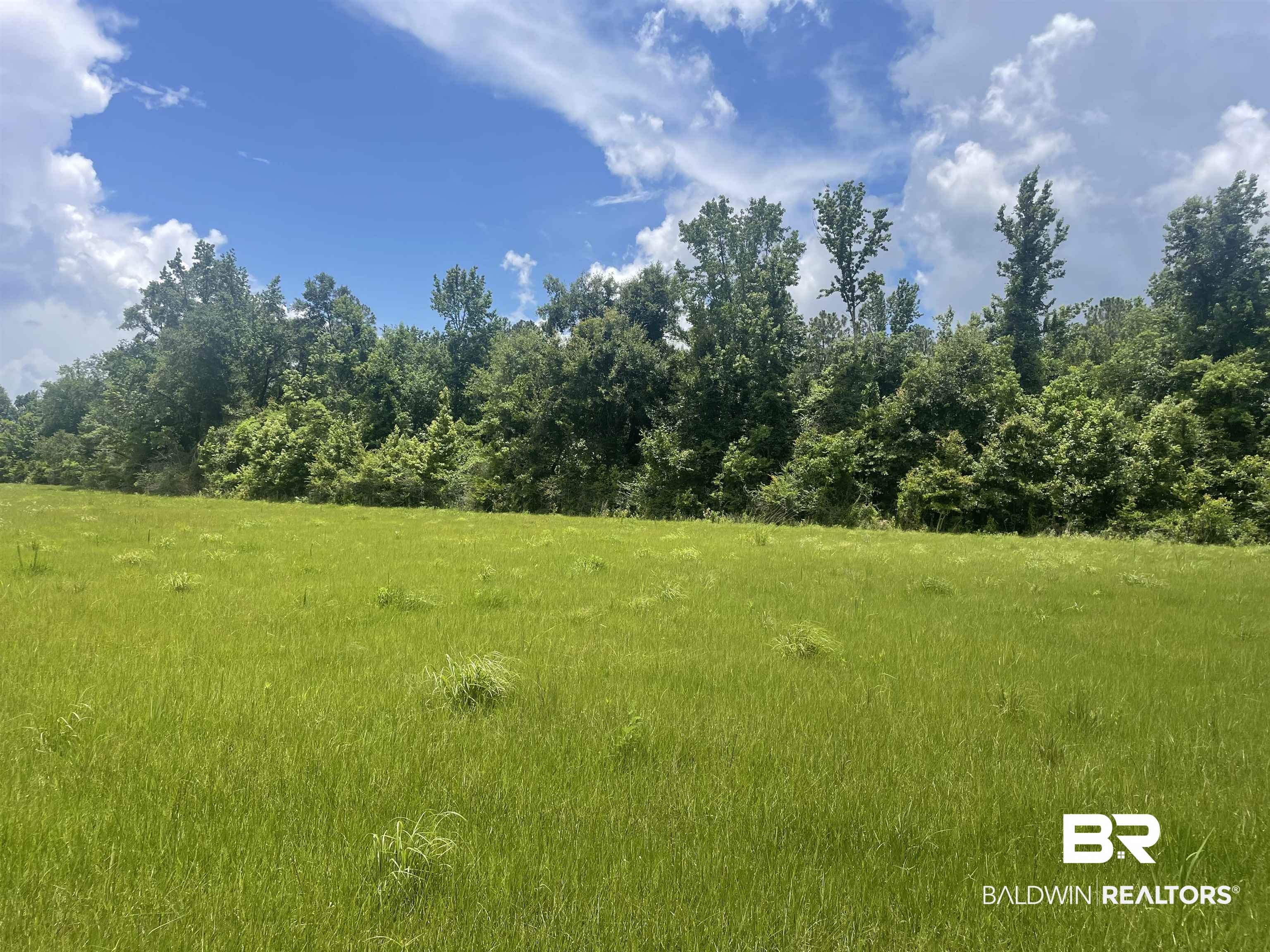 15660 Louis Cooper Road Bay Minette, AL 36507 - Photo 1 of 2 View of yard