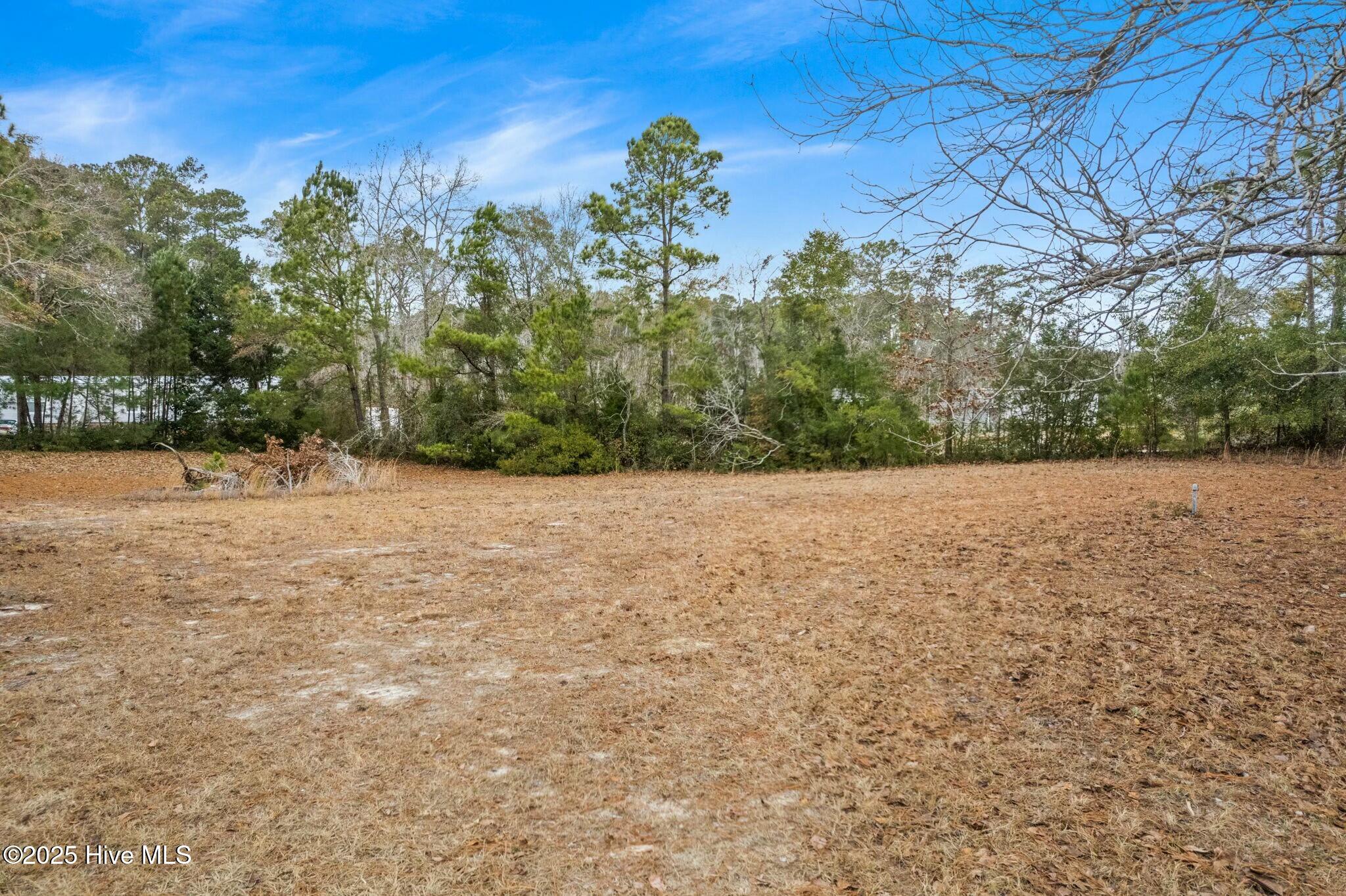 1759 Stone Chimney Road Southwest Supply, NC 28462 - Photo 44 of 54 tempImageTsGfq6