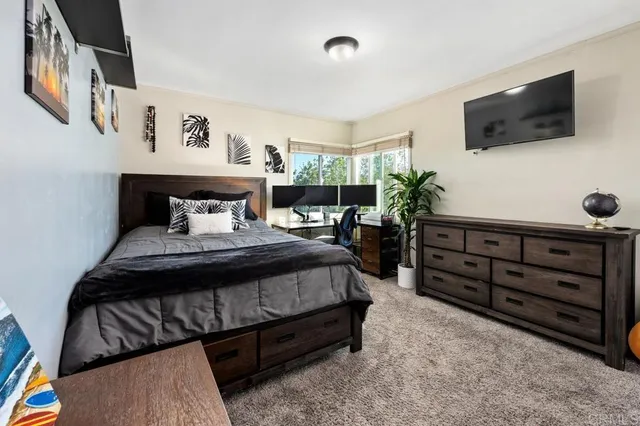 a bed room with a bed and a television