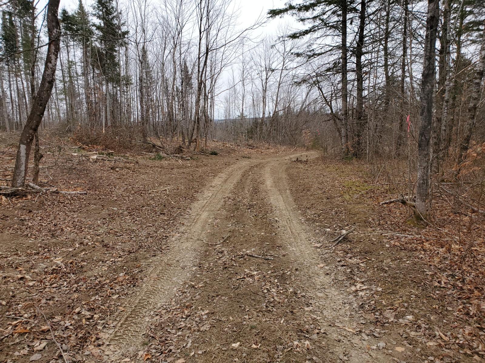 46 Green Road Hodgdon, ME 04730 - Photo 1 of 6 20201119_124207 (1)