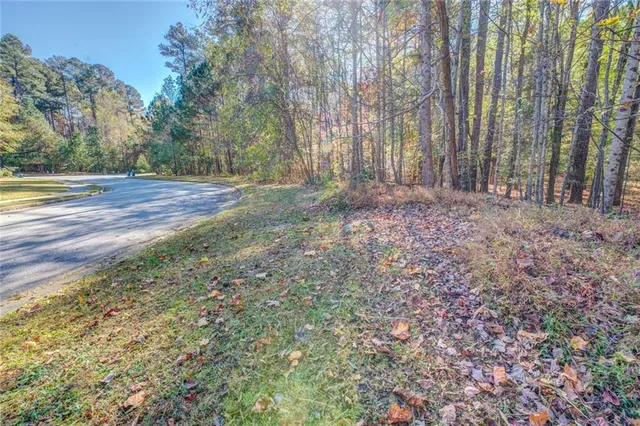 a view of backyard with green space