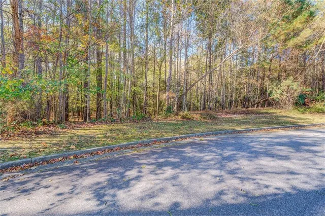 a view of a field with trees