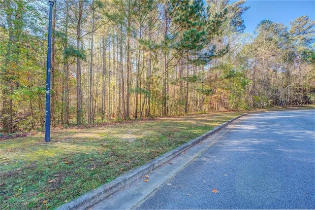 a view of a backyard with large trees