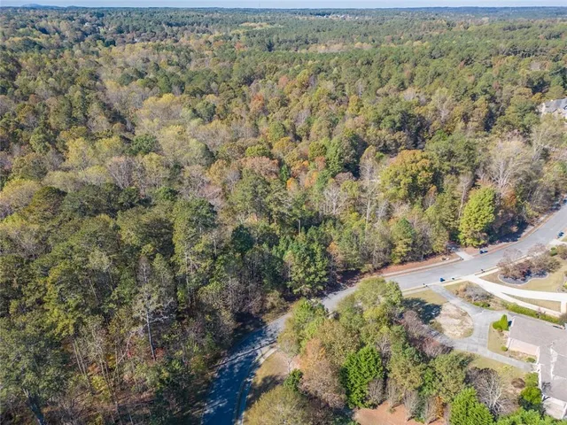 a view of a forest with a yard