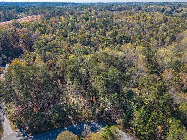 a view of a forest with houses