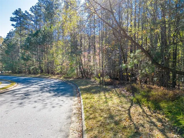 a view of a yard with trees