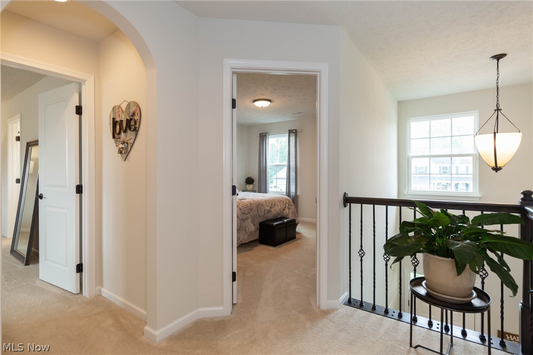 4909 Stratton Mill Street North Ridgeville, OH 44039 - Photo 22 of 35