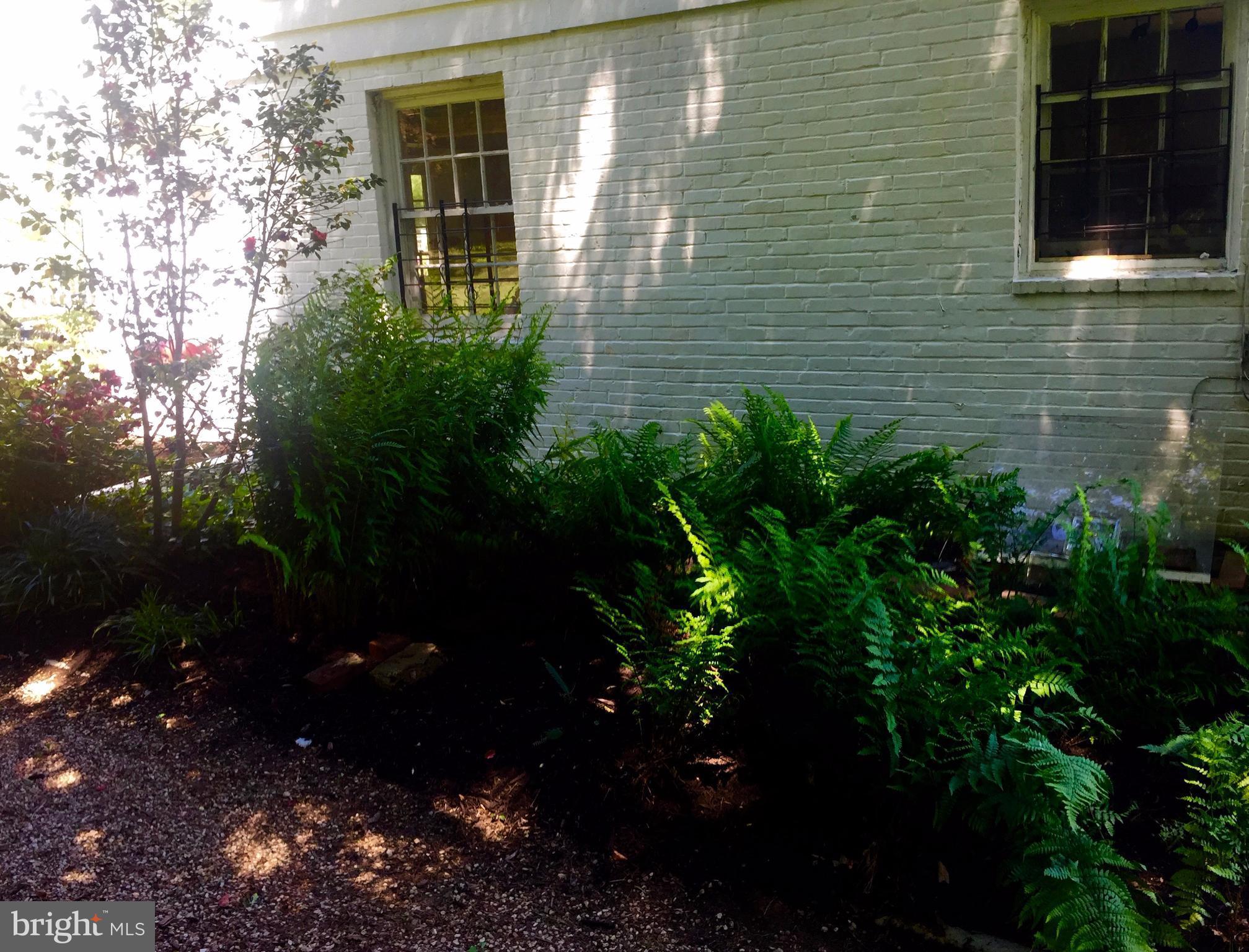 2444 Pickwick Road Baltimore, MD 21207 - Photo 9 of 24 a view of a backyard with plants
