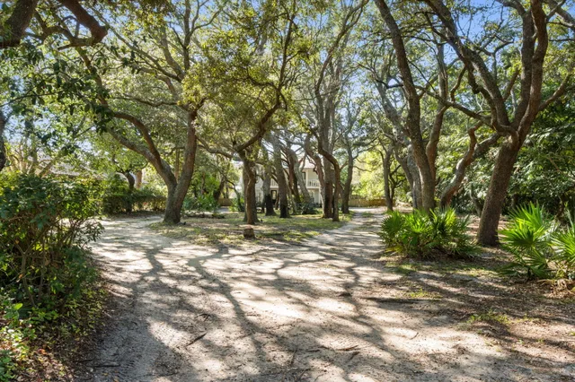 a view of outdoor space with trees