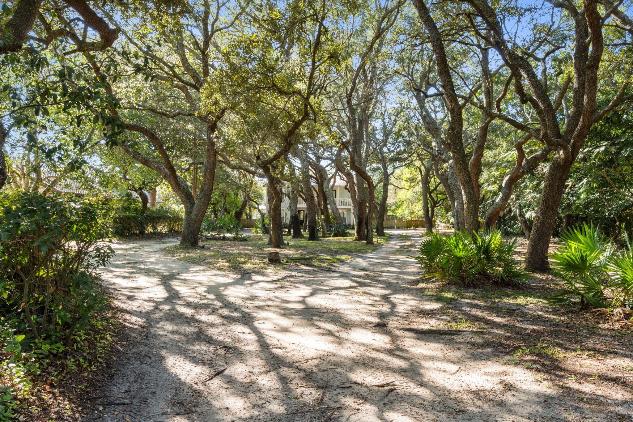 a view of outdoor space with trees