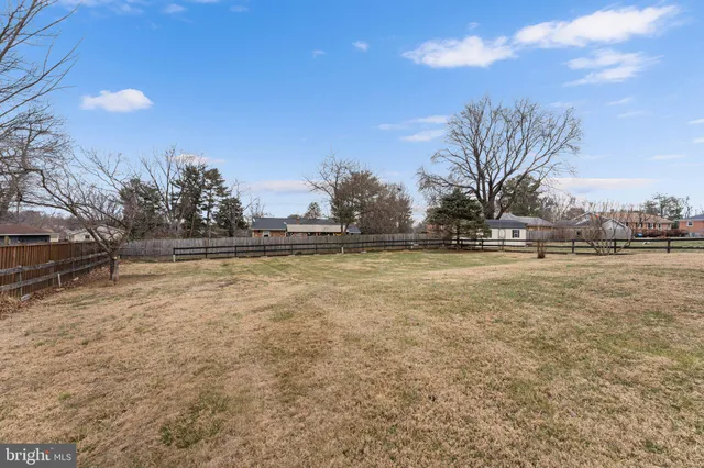 a view of outdoor space with yard and trees in the background
