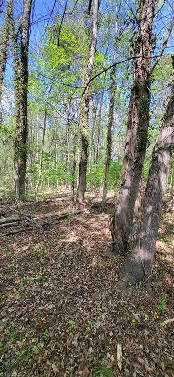 1642 Kersey Valley Road Archdale, NC 27263 - Photo 18 of 34