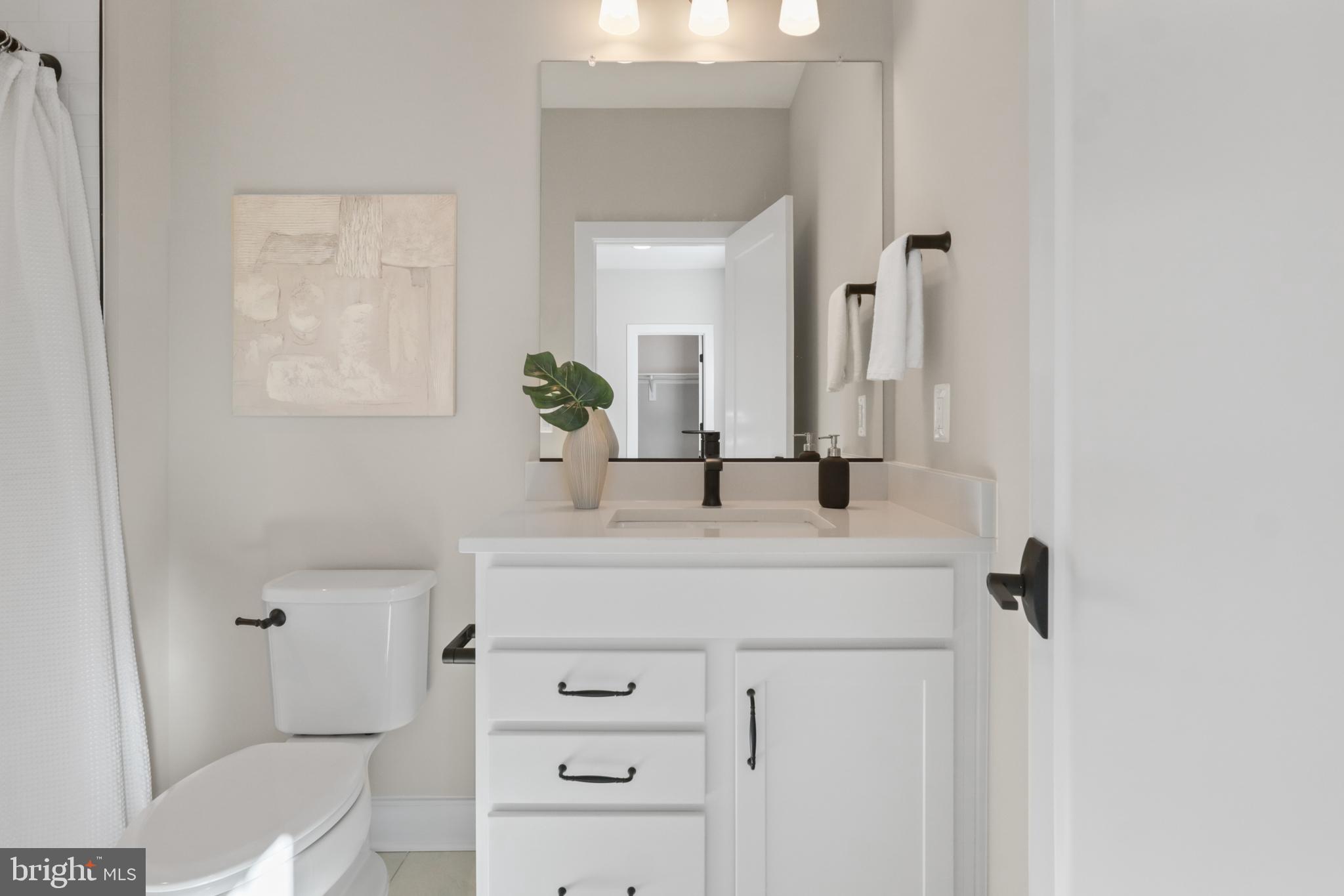 602 Kingsley Road Southwest Vienna, VA 22180 - Photo 50 of 79 a bathroom with a sink vanity mirror and toilet