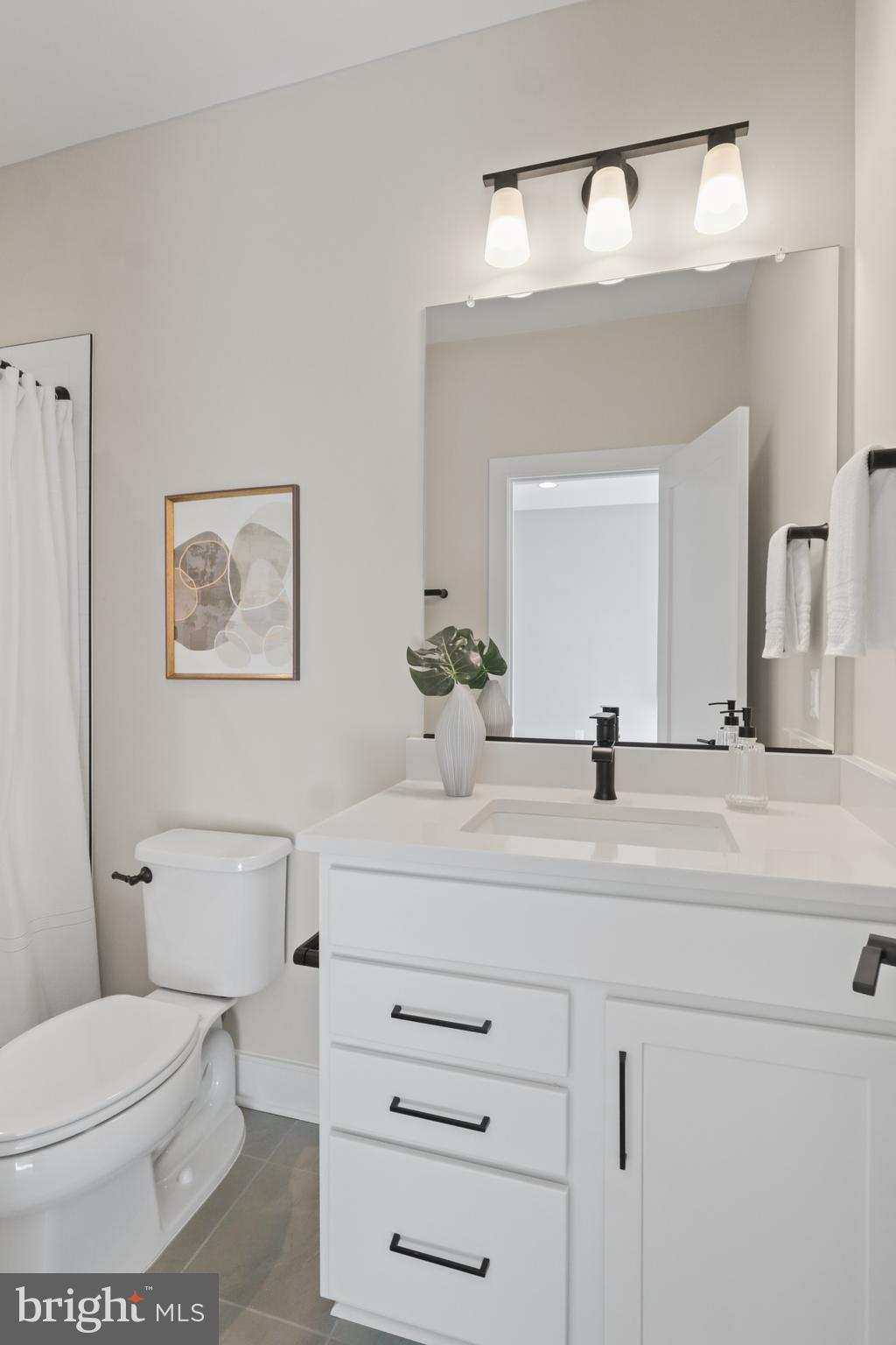 602 Kingsley Road Southwest Vienna, VA 22180 - Photo 72 of 79 a bathroom with a toilet a sink and mirror