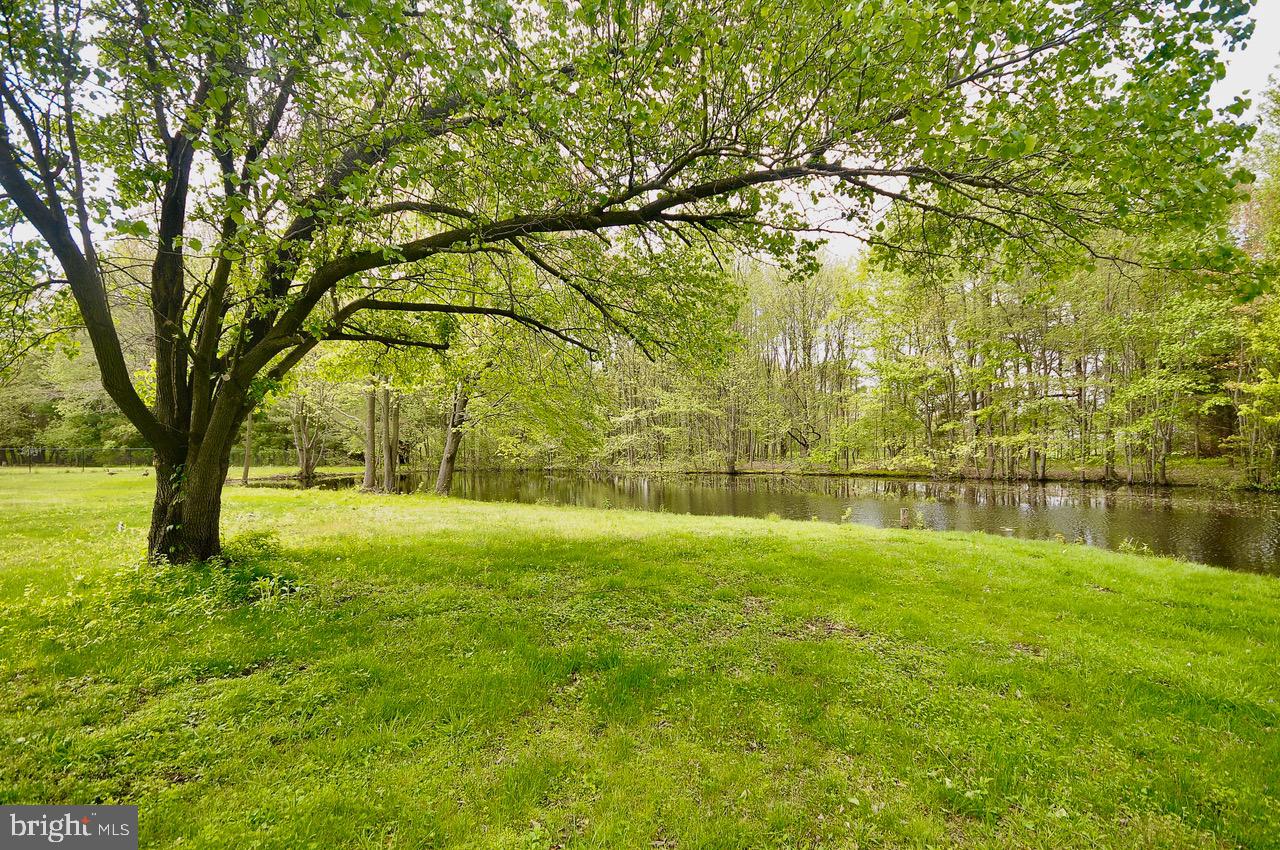 2439 Monmouth Road Jobstown, NJ 08041 - Photo 7 of 28 Pond In Back Yard