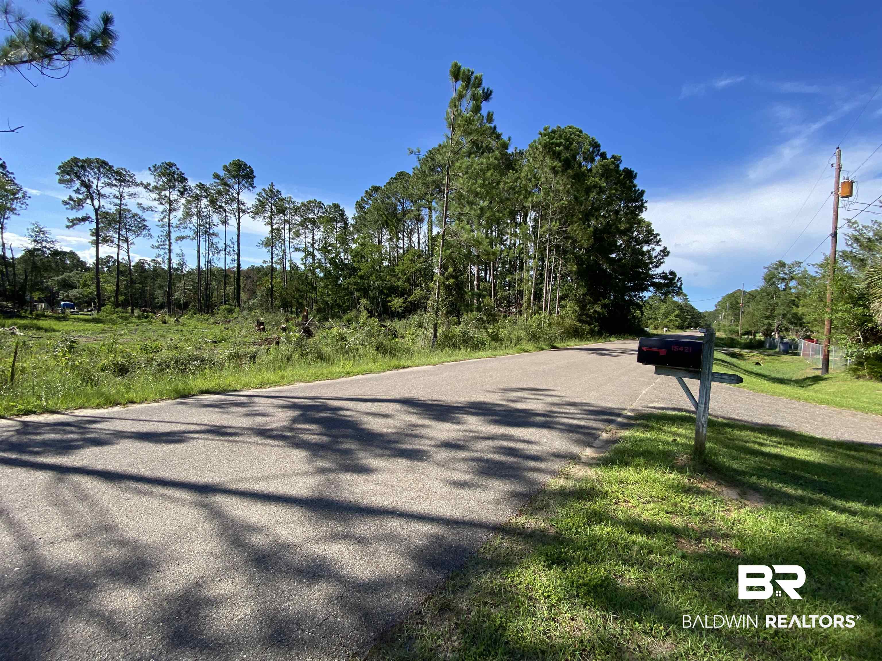 15420 Morris Drive Coden, AL 36523 - Photo 5 of 10