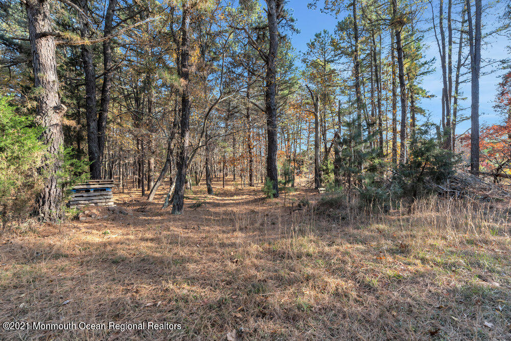 587 Reed Road Jackson, NJ 08527 - Photo 26 of 26 a view of a yard with a tree