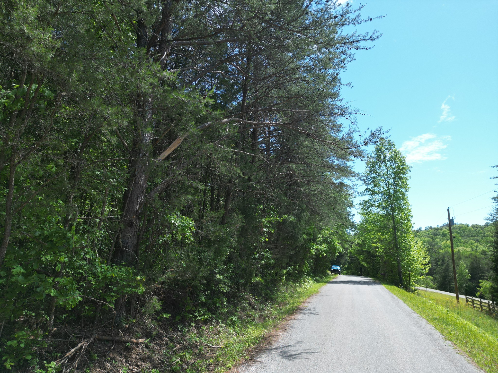 828 McCord Hollow Road Hohenwald, TN 38462 - Photo 28 of 35 a view of a road with a yard