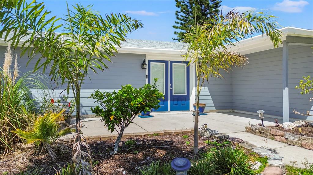 9917 San Sierra Way Port Richey, FL 34668 - Photo 3 of 33 a flower plants in front of the house