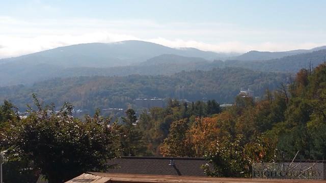 251 C Ridge View Drive Boone, NC 28607 - Photo 16 of 21 Gallery Image 16