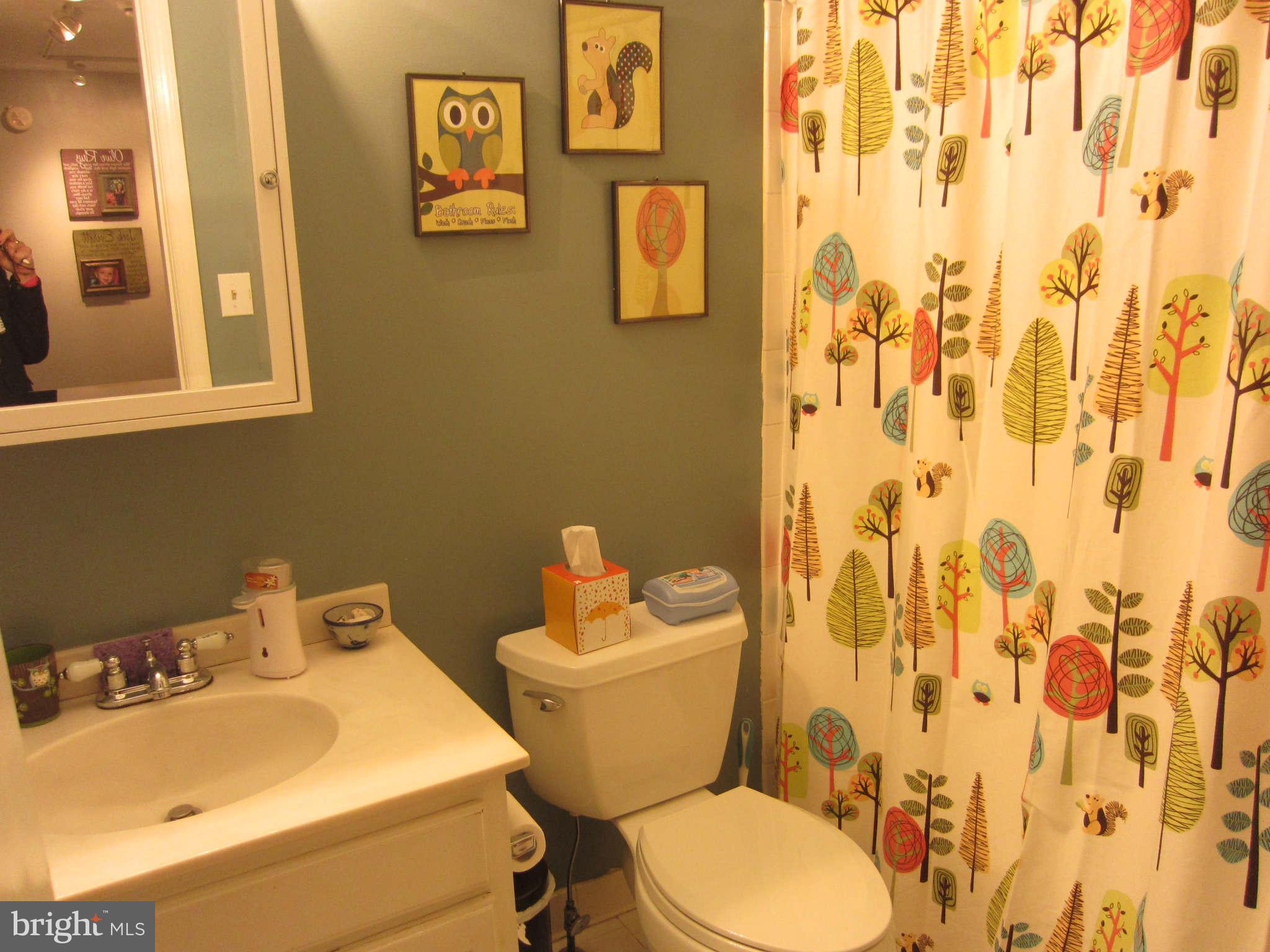 15109 Winstead Lane Silver Spring, MD 20905 - Photo 20 of 30 Hall bath upstairs