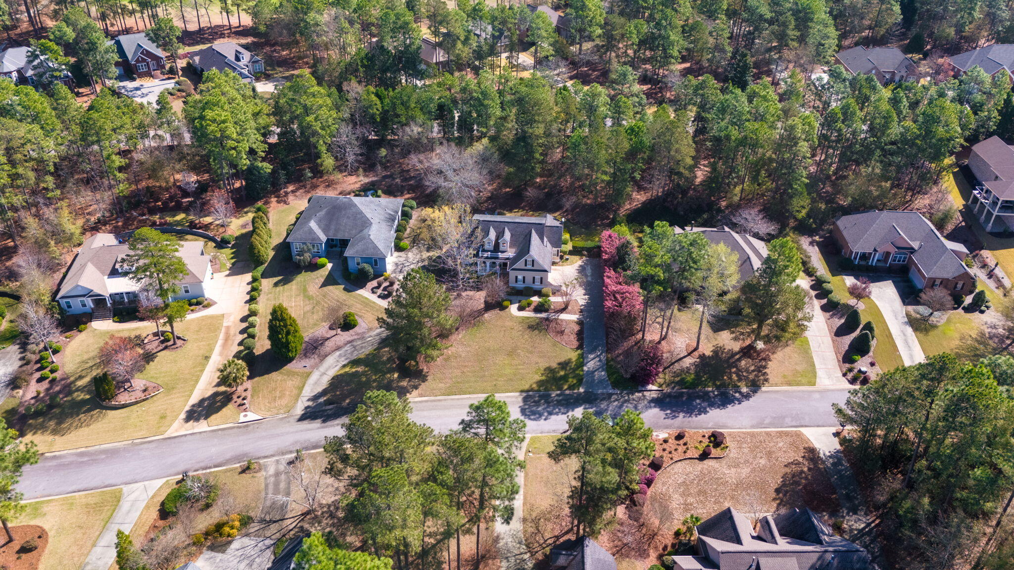 218 Birch Tree Circle Aiken, SC 29803 - Photo 10 of 62