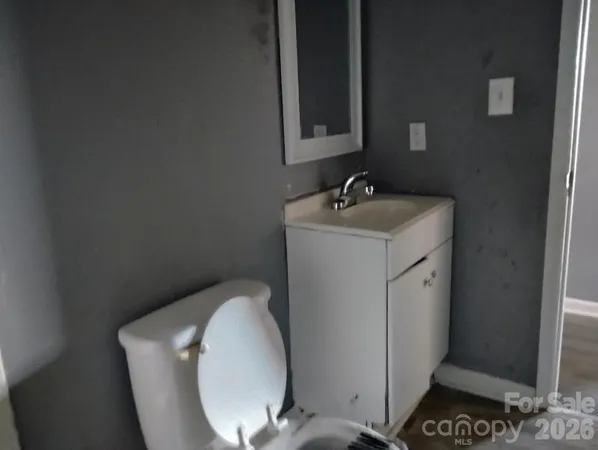 a bathroom with a sink toilet and vanity