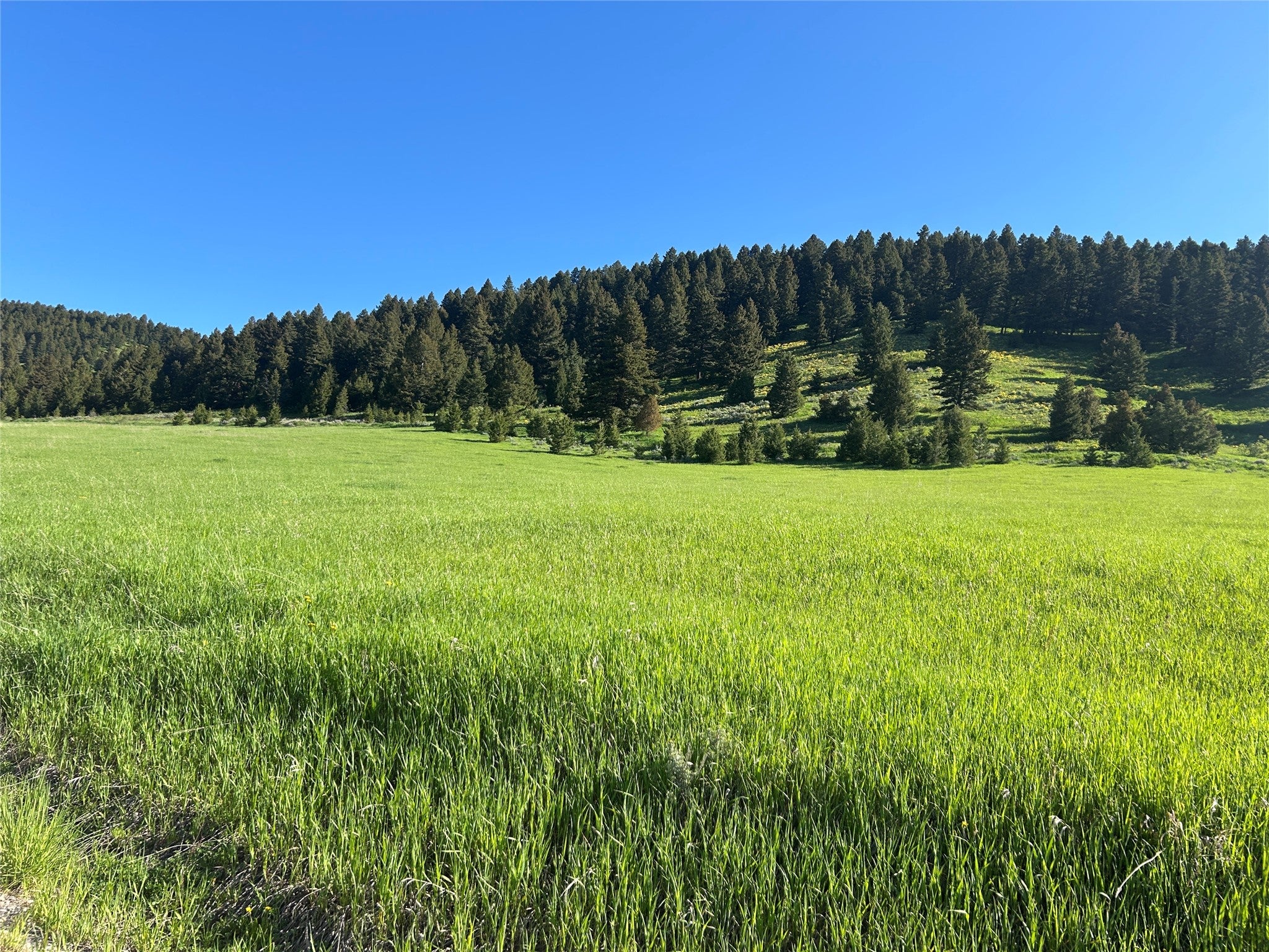 Nhn Chestnut Road Bozeman, MT 59715 - Photo 2 of 27 Gallery Image 2