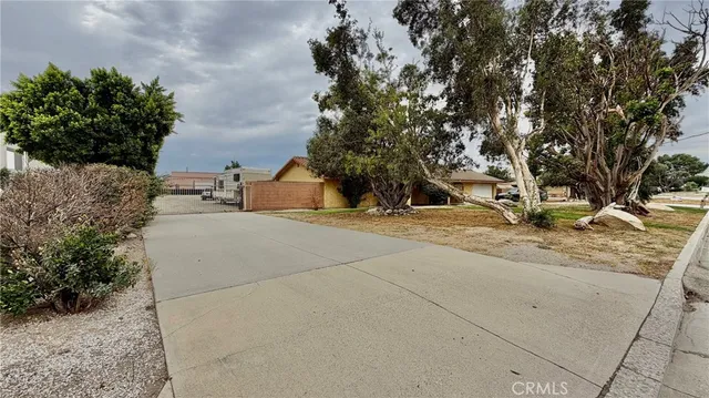 a tree in the middle of a yard