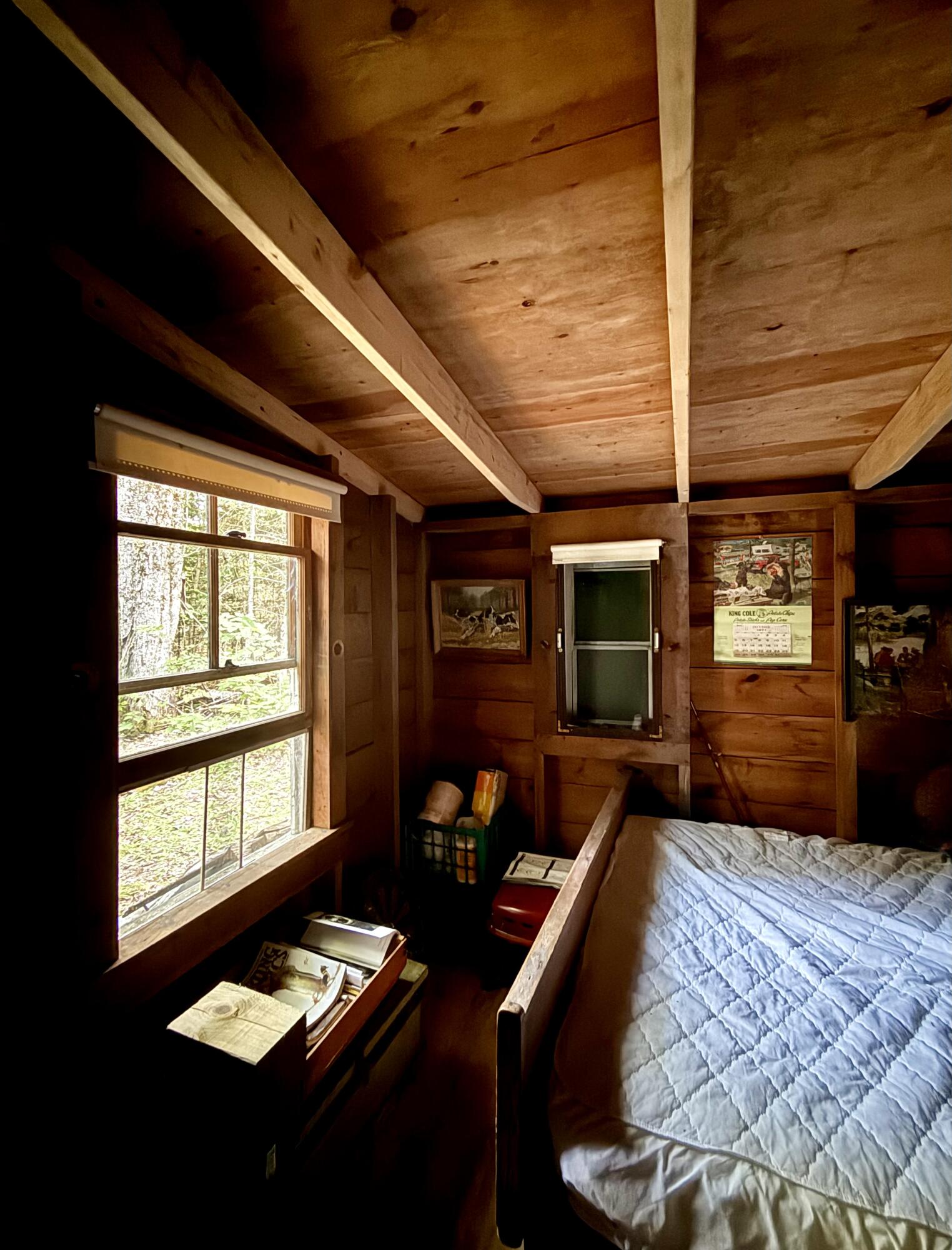 Tbd Democrat Ridge Road Waite, ME 04492 - Photo 15 of 29 IMG_9994