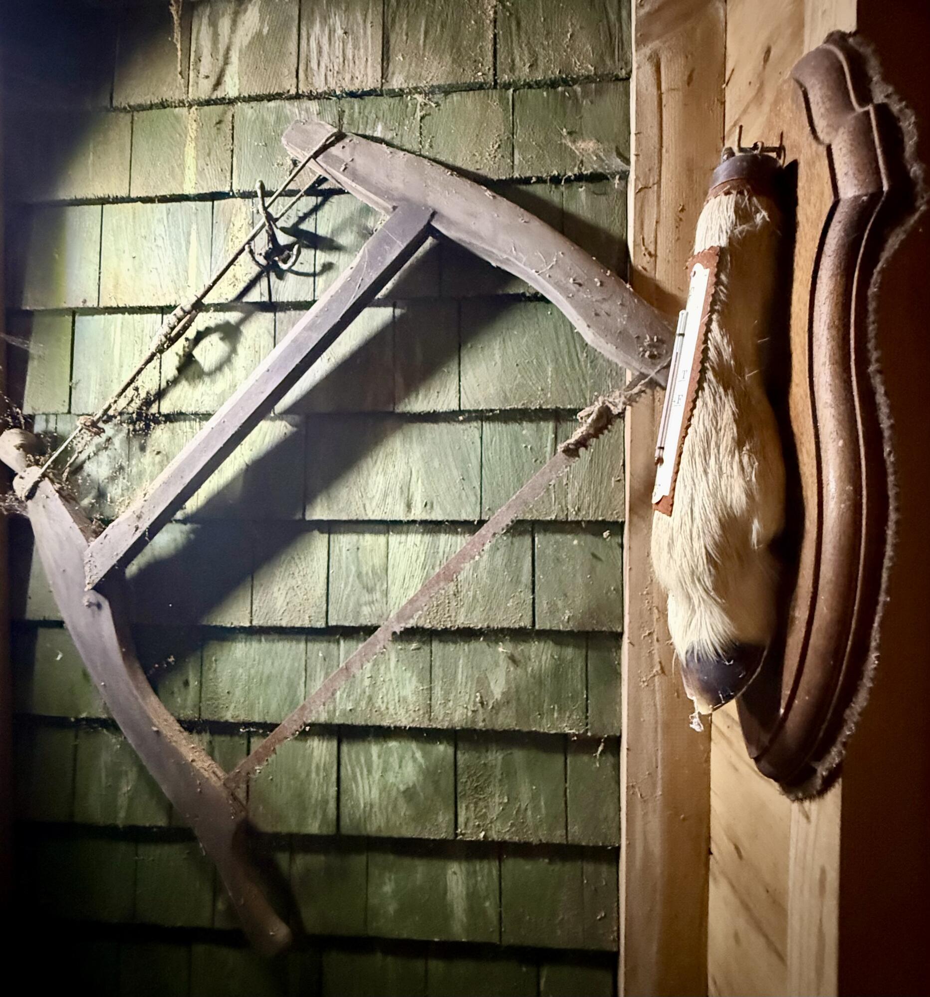 Tbd Democrat Ridge Road Waite, ME 04492 - Photo 16 of 29 IMG_0008