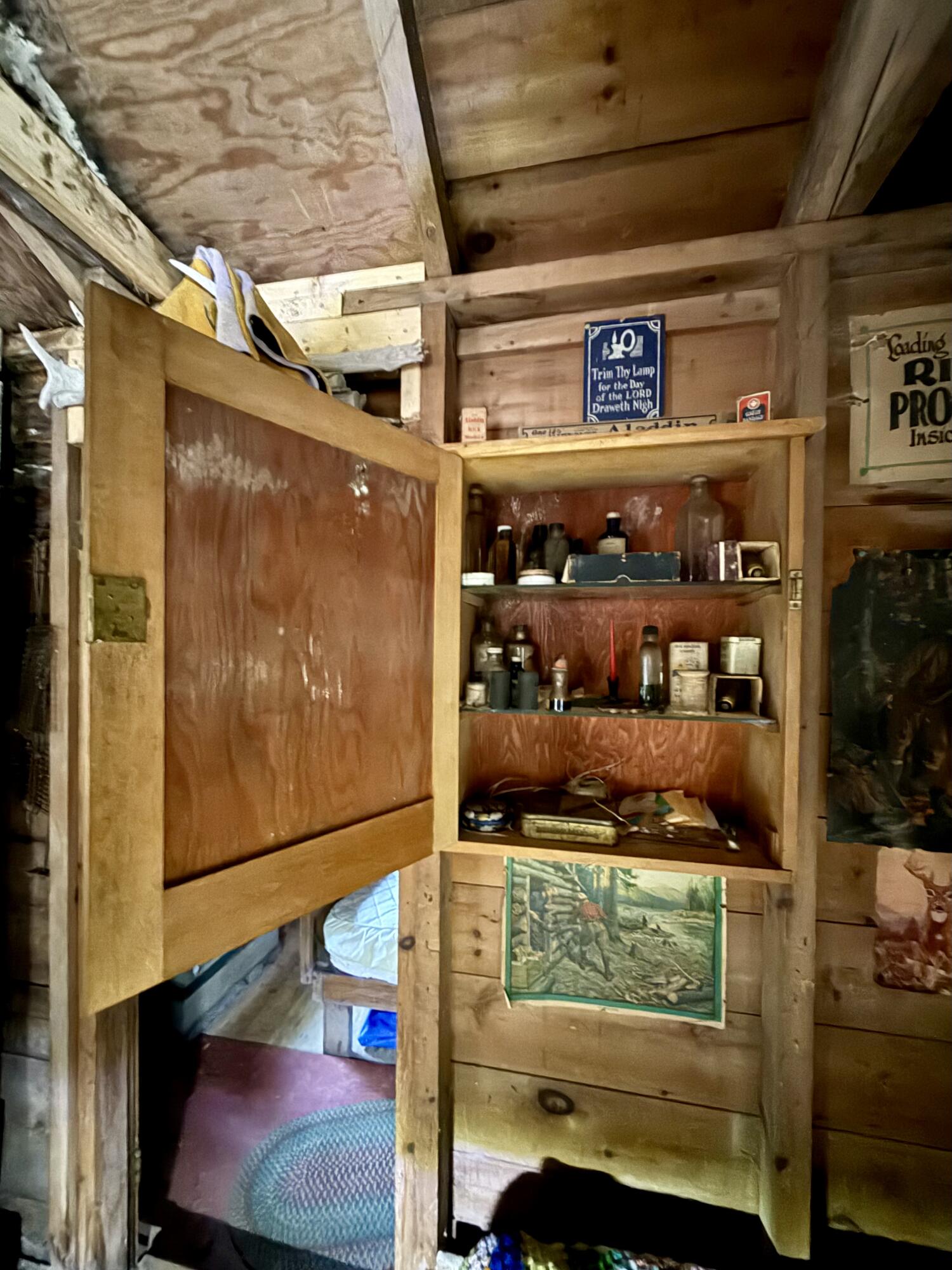 Tbd Democrat Ridge Road Waite, ME 04492 - Photo 19 of 29 IMG_9988