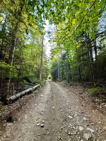 $45,000 | Tbd Democrat Ridge Road, Waite, ME 04492