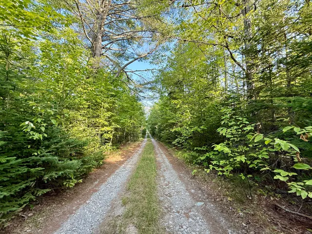 $45,000 | Tbd Democrat Ridge Road, Waite, ME 04492