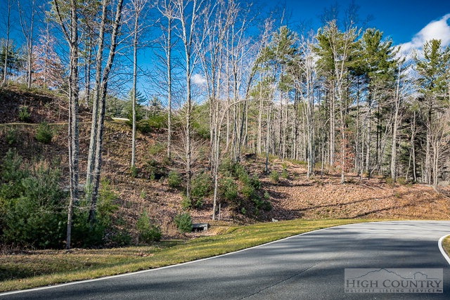 341 Pepperoot Boone, NC 28607 - Photo 3 of 18 Gallery Image 3