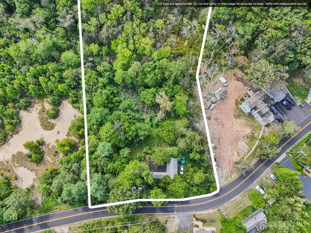 a view of a yard with plants