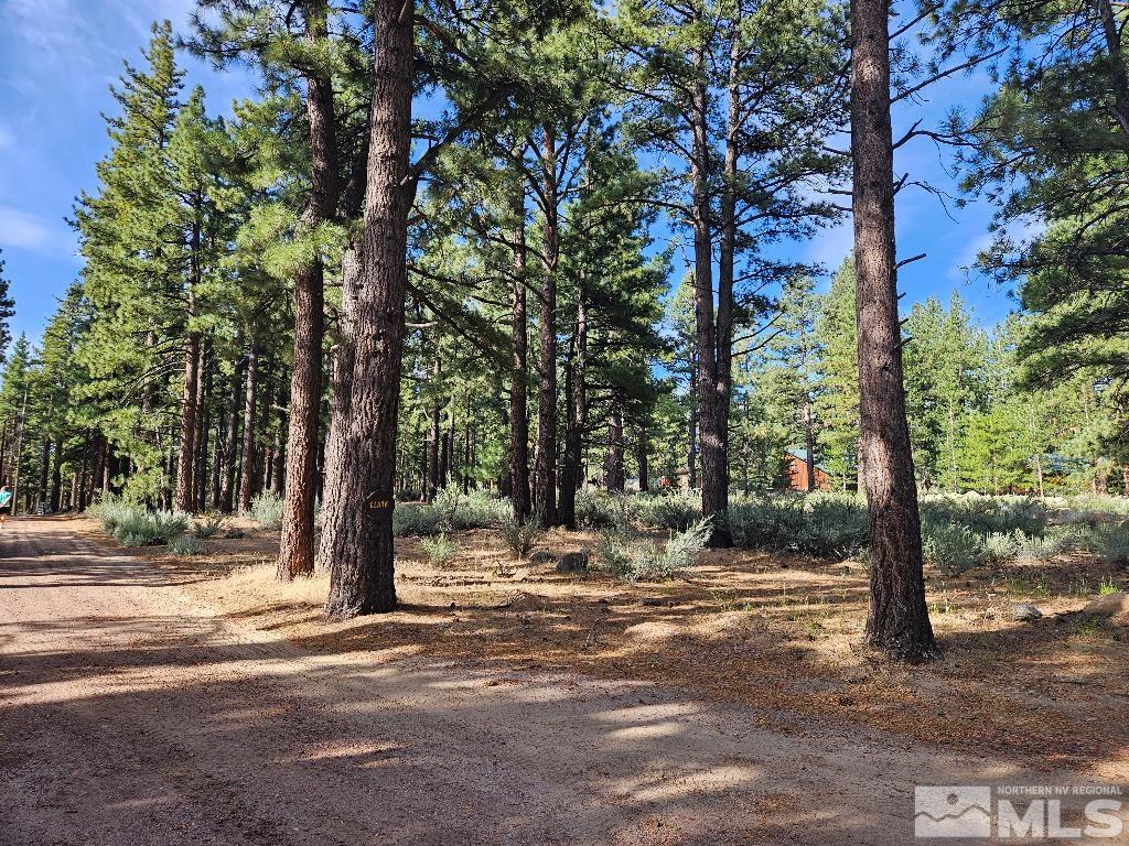 16380 Callahan Road Reno, NV 89511 - Photo 3 of 6 Photo 3