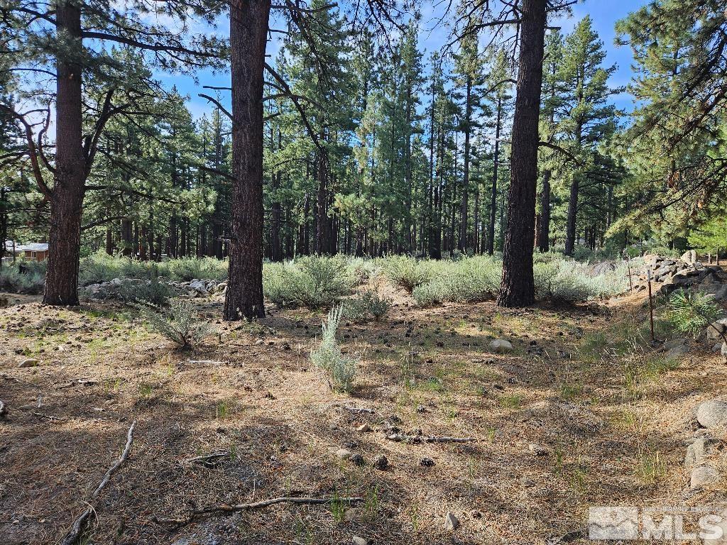 16380 Callahan Road Reno, NV 89511 - Photo 4 of 6 Photo 4