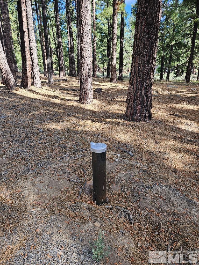 16380 Callahan Road Reno, NV 89511 - Photo 5 of 6 Photo 5