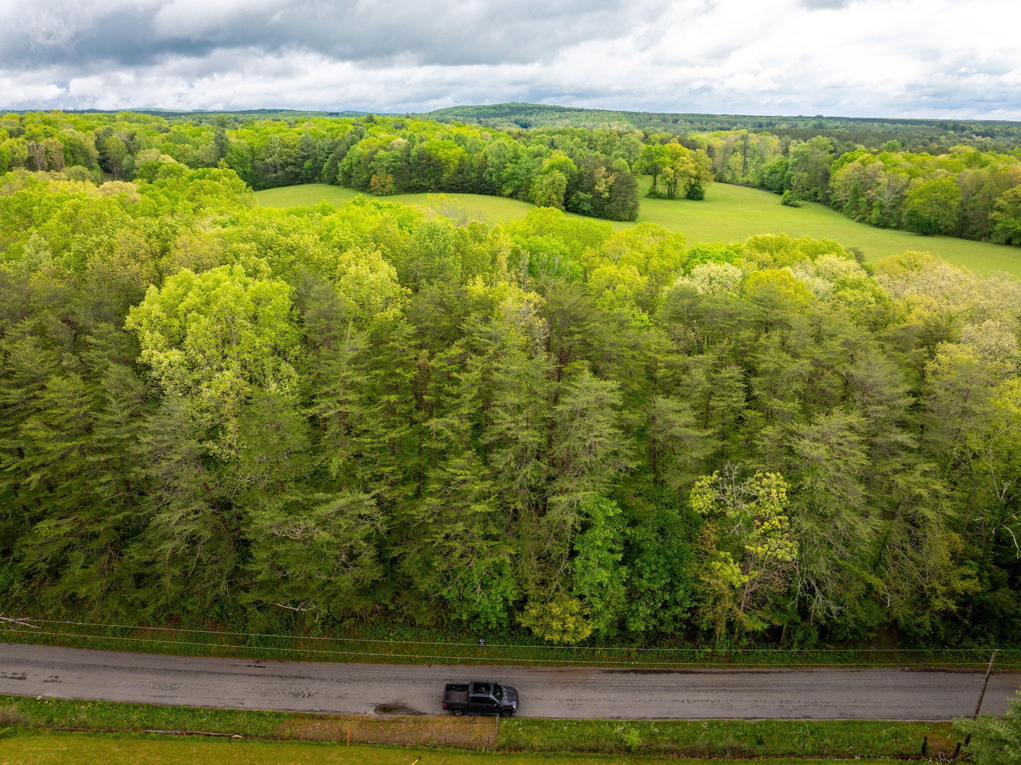 0 Blain Smith Road Graysville, TN 37338 - Photo 2 of 8 a view of an outdoor space and a yard
