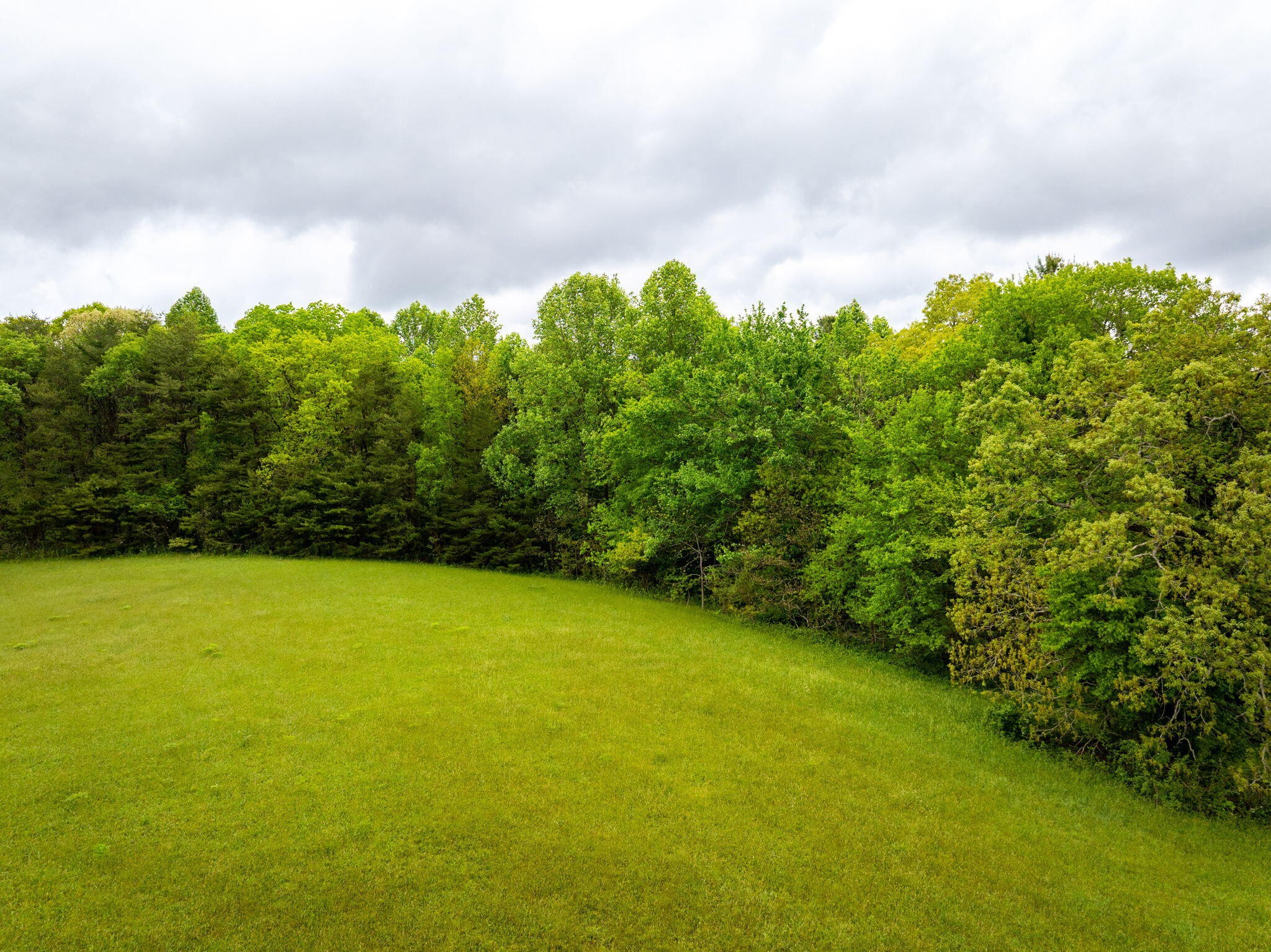 0 Blain Smith Road Graysville, TN 37338 - Photo 5 of 8 a view of a field with plants in back