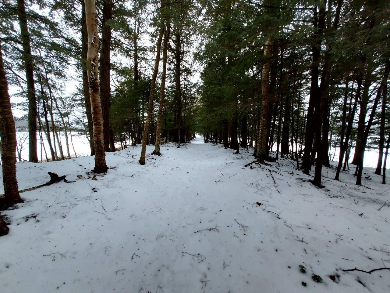 24453 Gordon Lake Road Glidden, WI 54527 - Photo 30 of 36 Gallery Image 30
