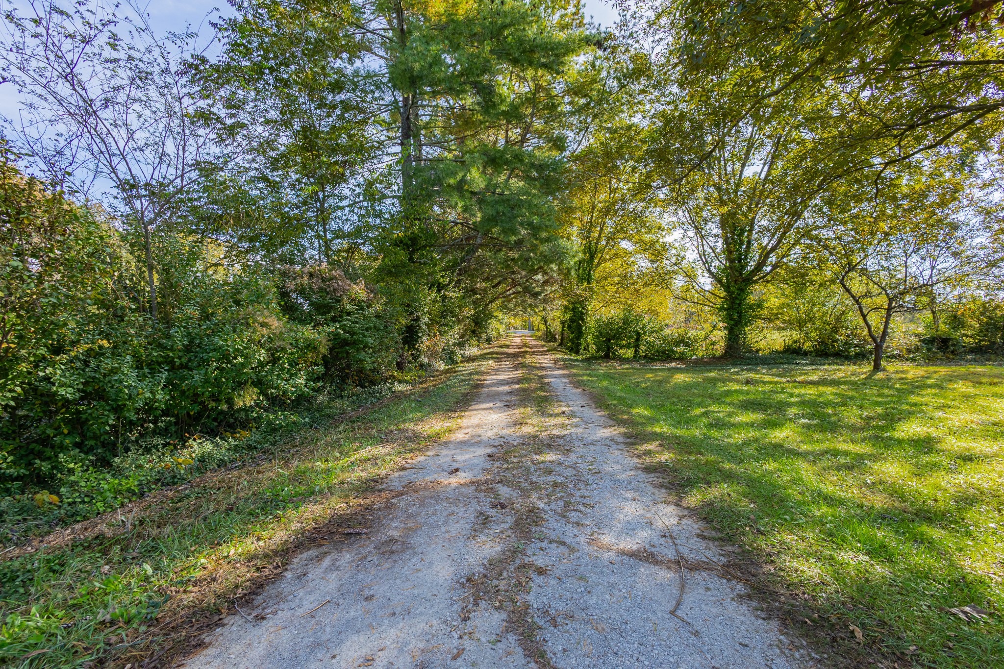 340 Yates Road Hillsboro, TN 37342 - Photo 17 of 69 a view of yard with green space